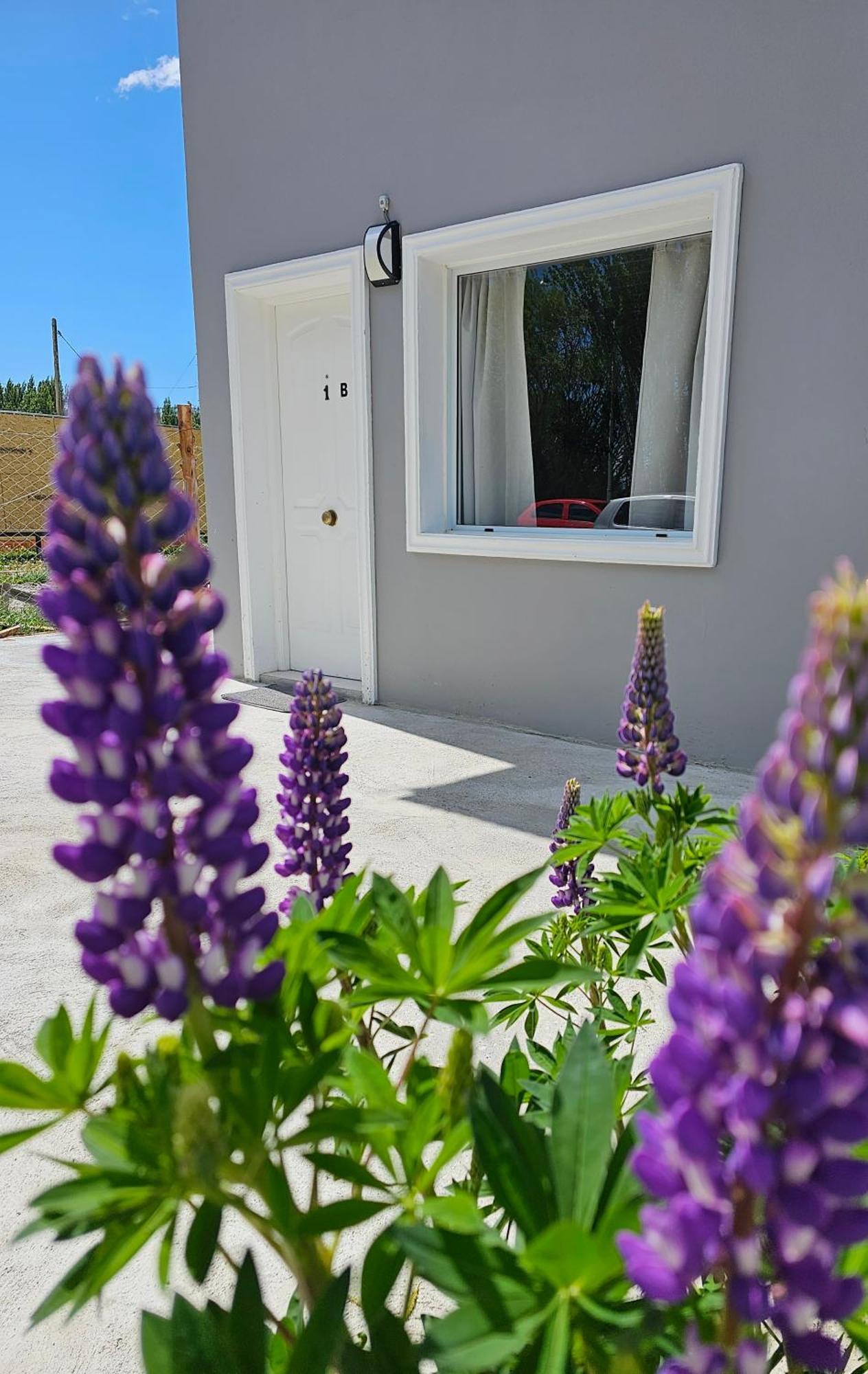 Alameda Apart El Calafate Dış mekan fotoğraf